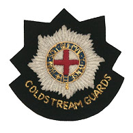 Guards Regiments Blazer badges